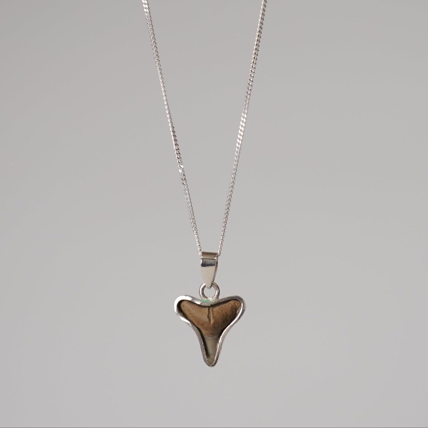 Collar Legado Mako