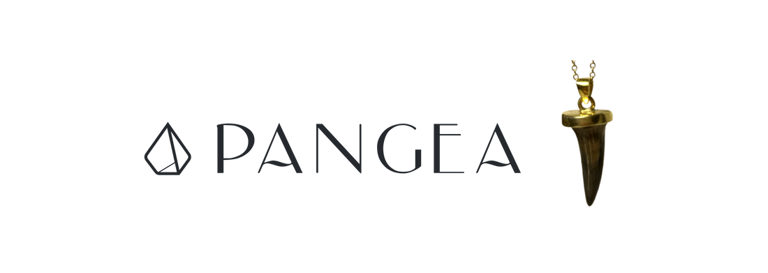 Pangea Fosils Jewelry