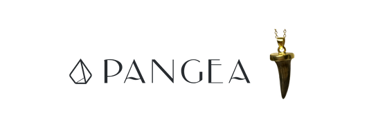 Pangea Fosils Jewelry